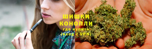 дживик Надым