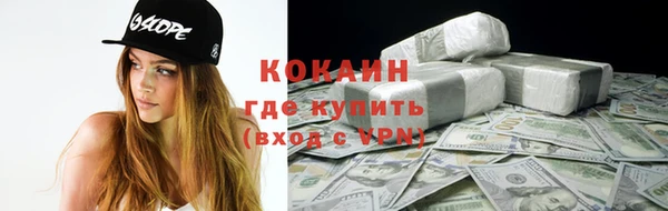дживик Надым