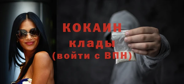 дживик Надым