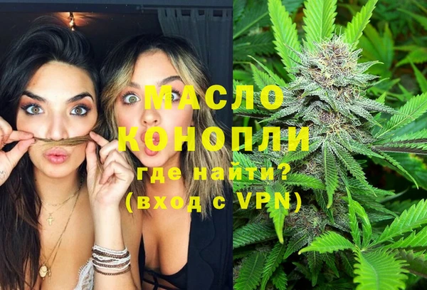 дживик Надым