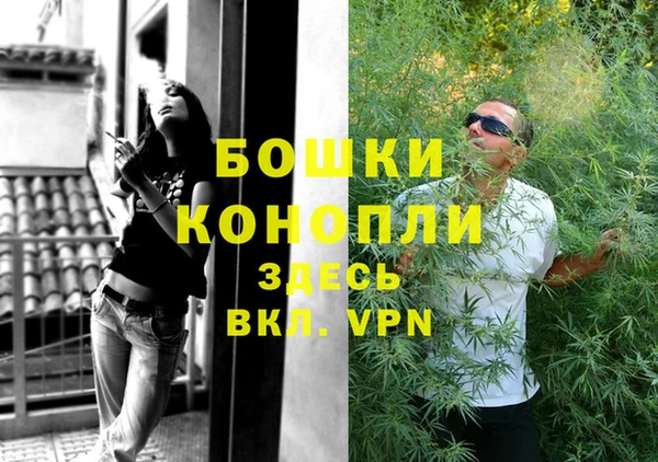 дживик Надым