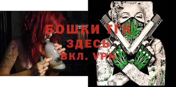 дживик Надым