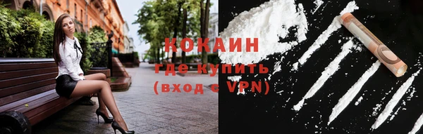 дживик Надым