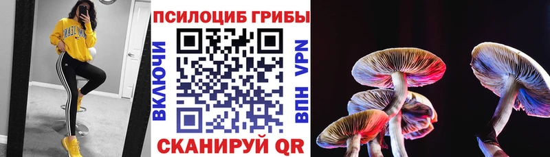 Псилоцибиновые грибы Magic Shrooms  mega маркетплейс  Туринск 